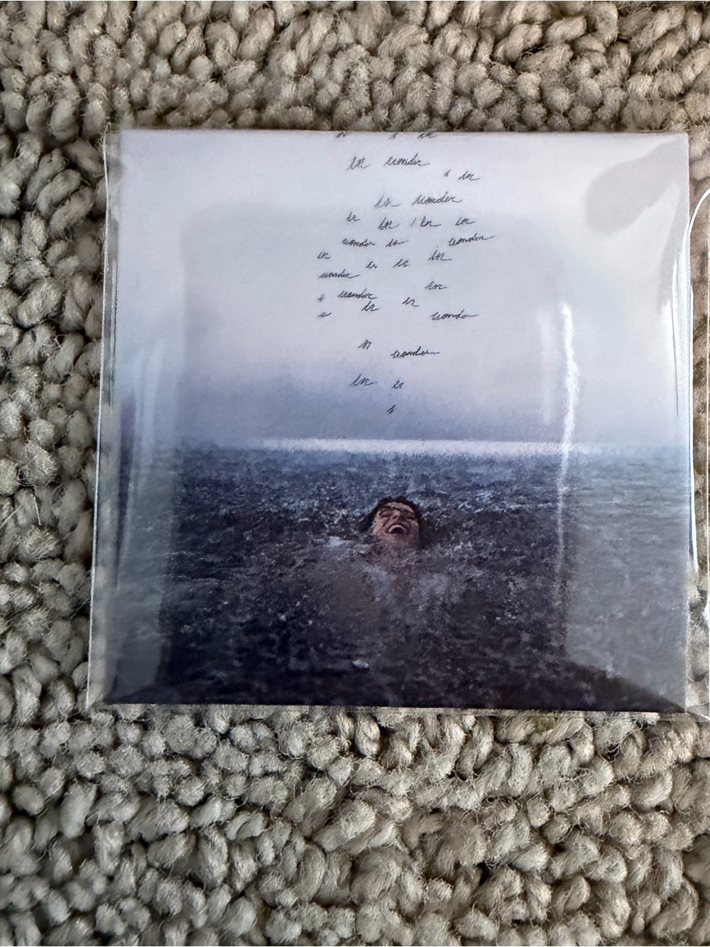 Mini Brands Really Works Vinyl Shawn Mendes Can’t Imagine Wonder